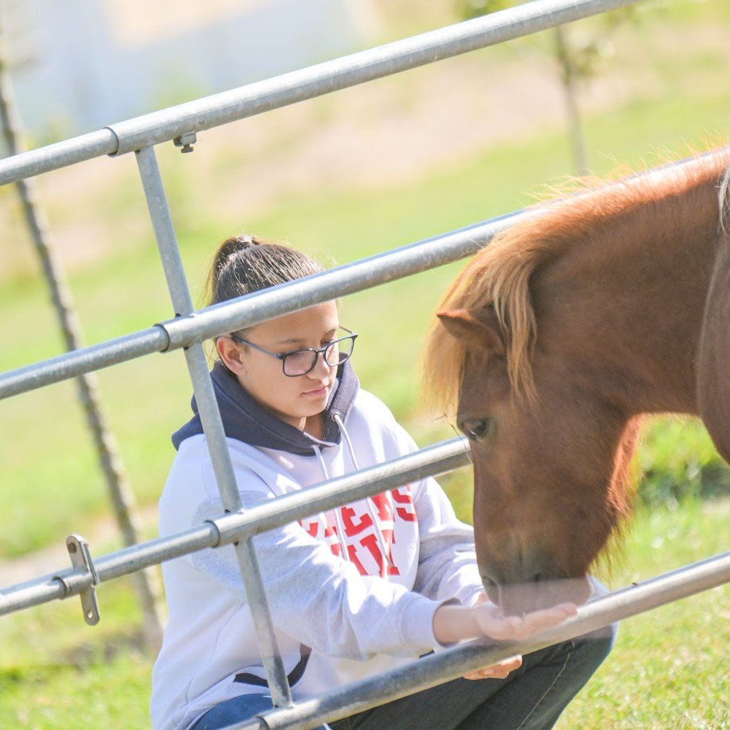 Les Ani’Maurice Ferme Pédagogique 1