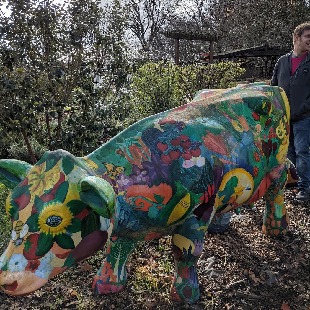 Sonoma Harvest Season Festival 3