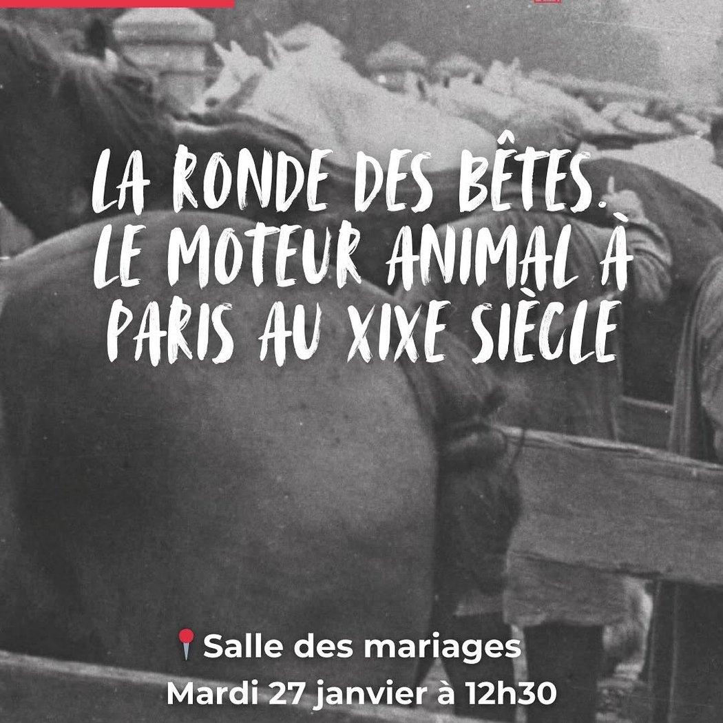 LA RONDE DES BÊTES. LE MOTEUR ANIMAL À PARIS AU XIXE SIÈCLE 1
