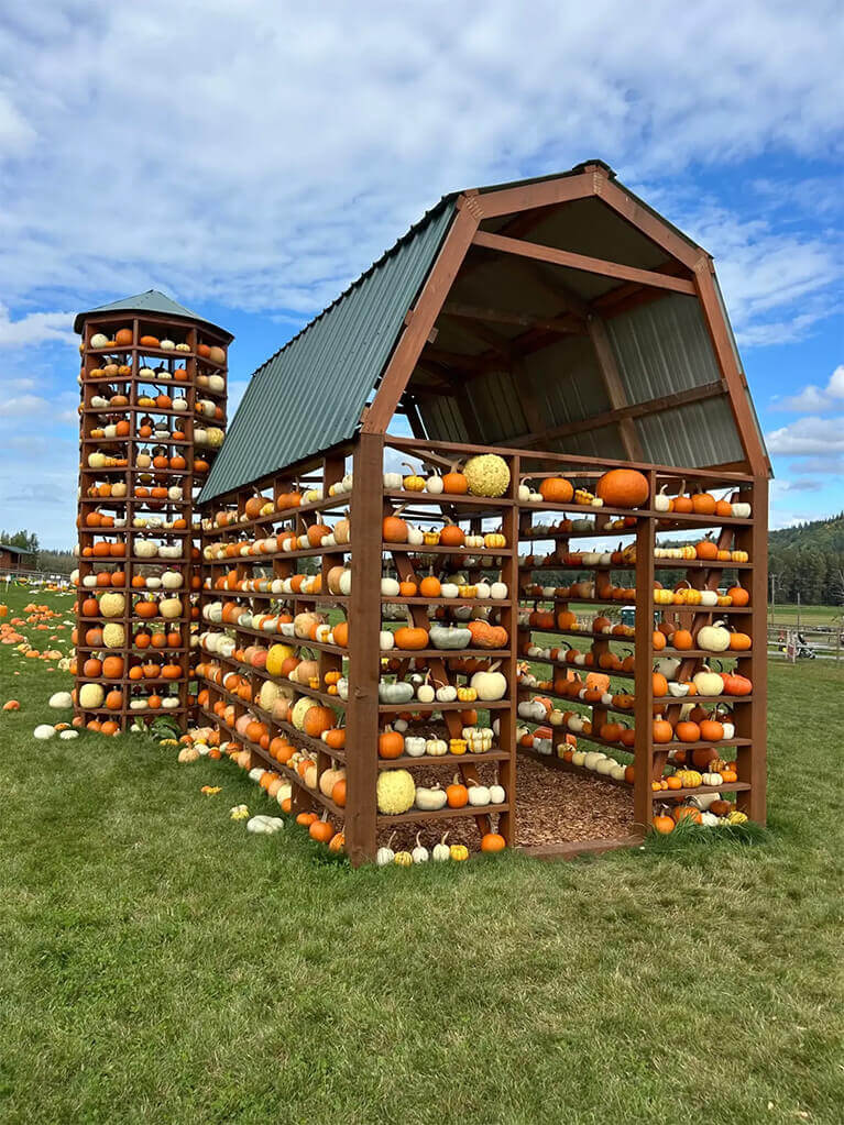 Bob's Corn & Pumpkin Farm 2