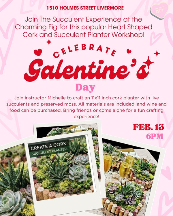 Galentine's Heart Shaped Cork and Succulent Planter Workshop 1