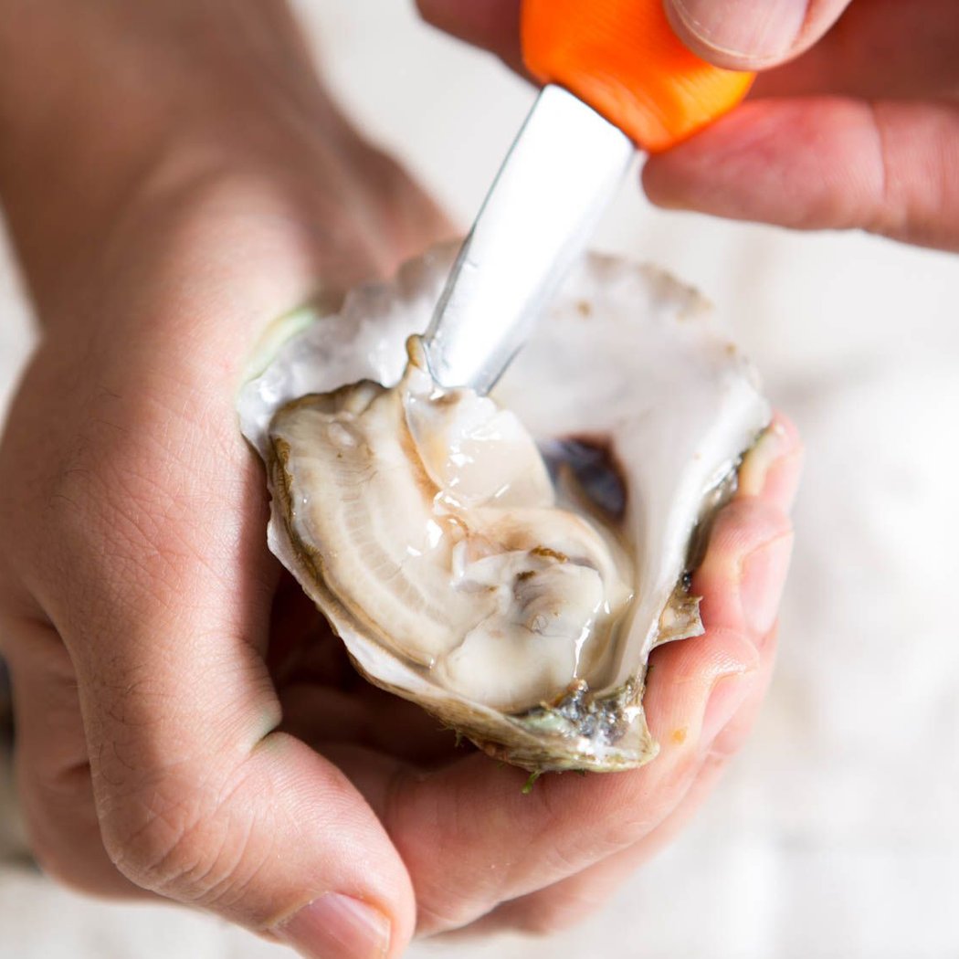 Oyster Shucking Class with Chef Alexis 1