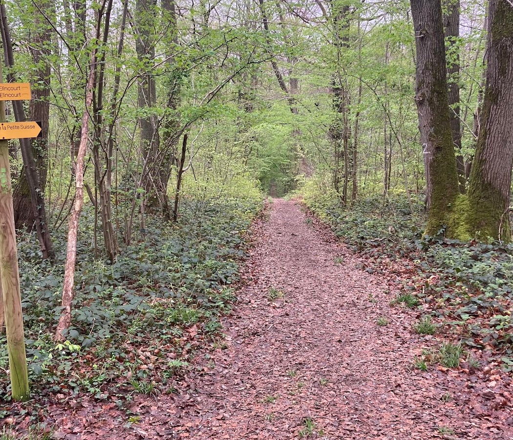 Le bois d'Elincourt 2
