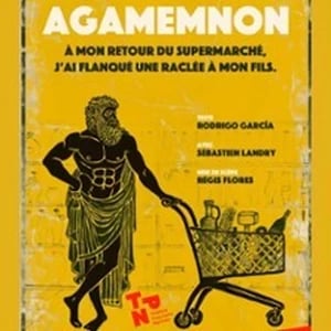 Agamemnon, à mon Retour du Supermarché j'ai Flanqué une R... 1