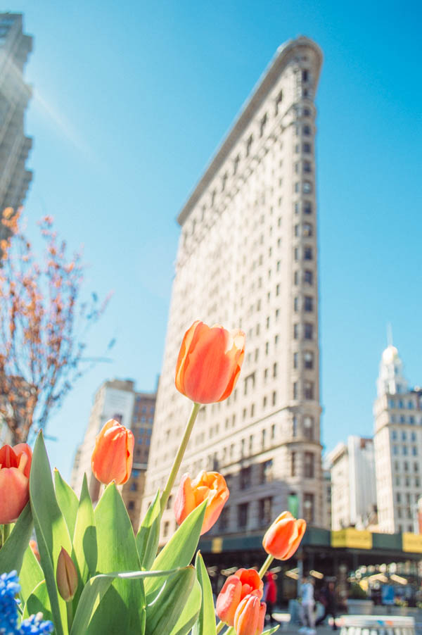 Flatiron District 3