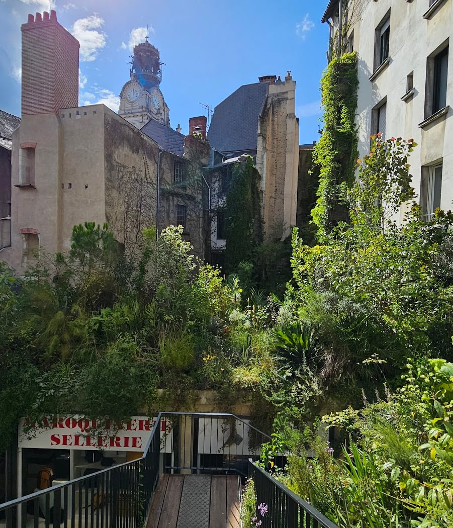 Jungle interieure, Voyage à Nantes 2