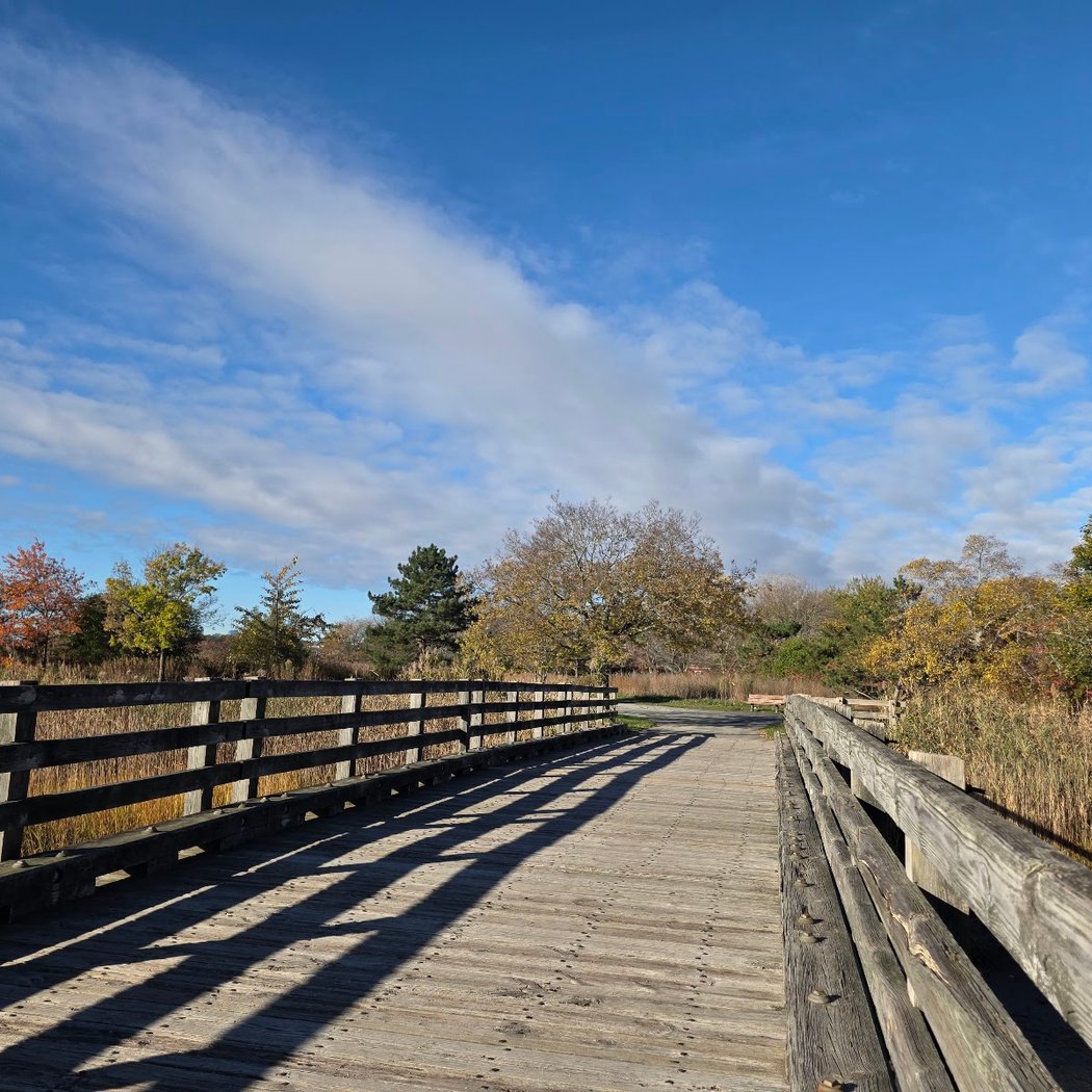 Fall Bird Walk at Belle Isle Marsh 3