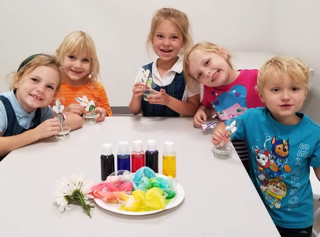 Studio Anthurium (English-Russian speaking classes for bilingual kids and adults, Decor, Event Venue and planning) 1