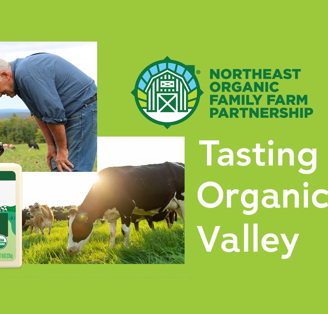 Cheese Tasting and Northeast Organic Family Farm Partnership 1