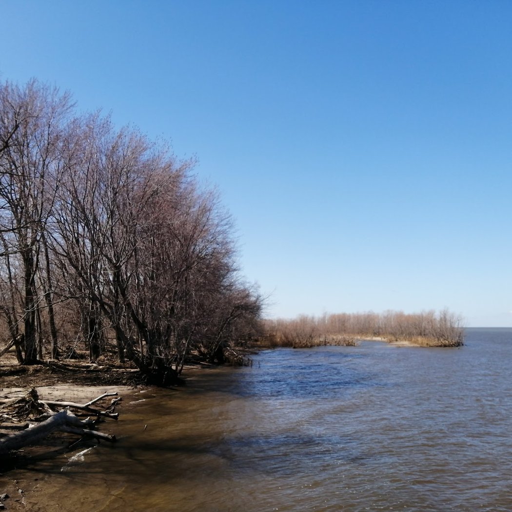 Stationnement du Parc écomaritime de l'Anse-du-Port 2
