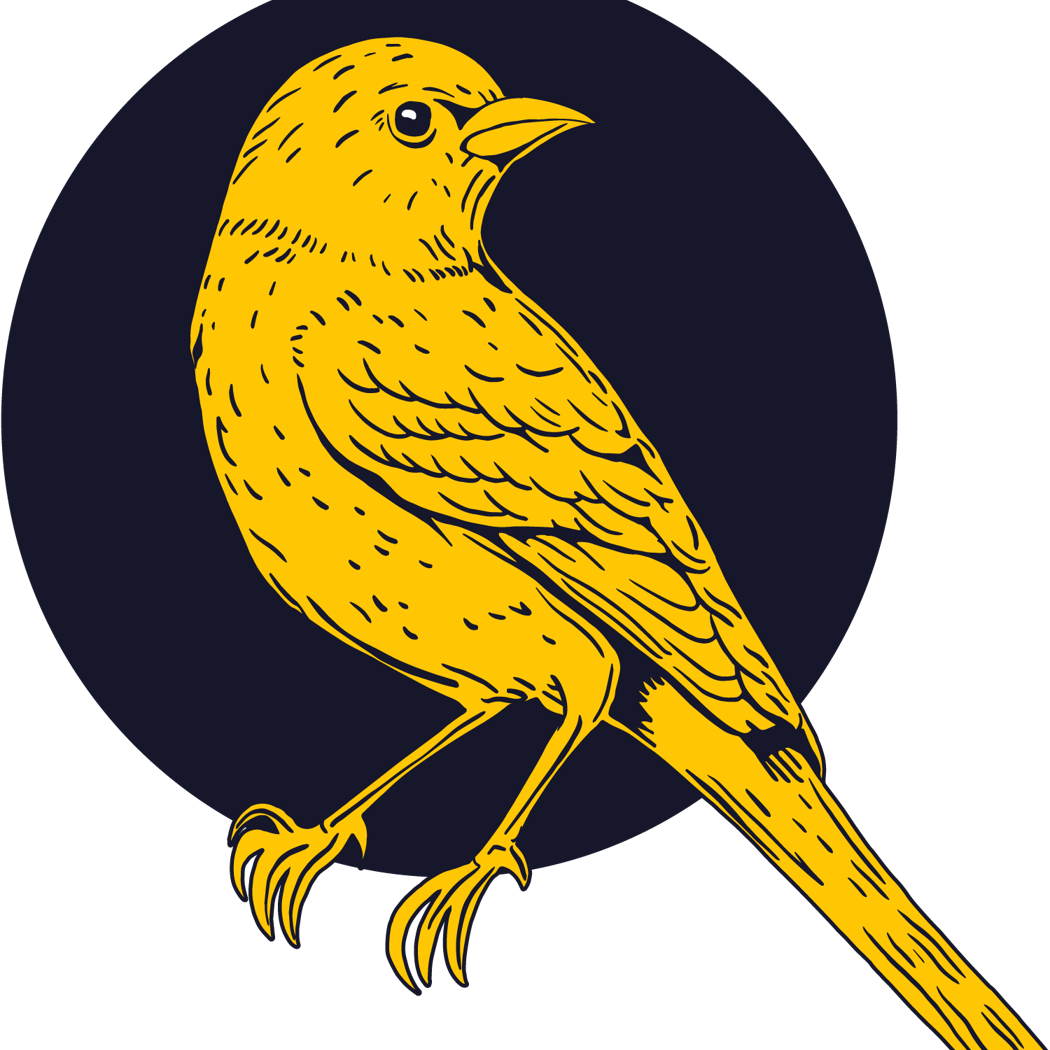 The Canary 4