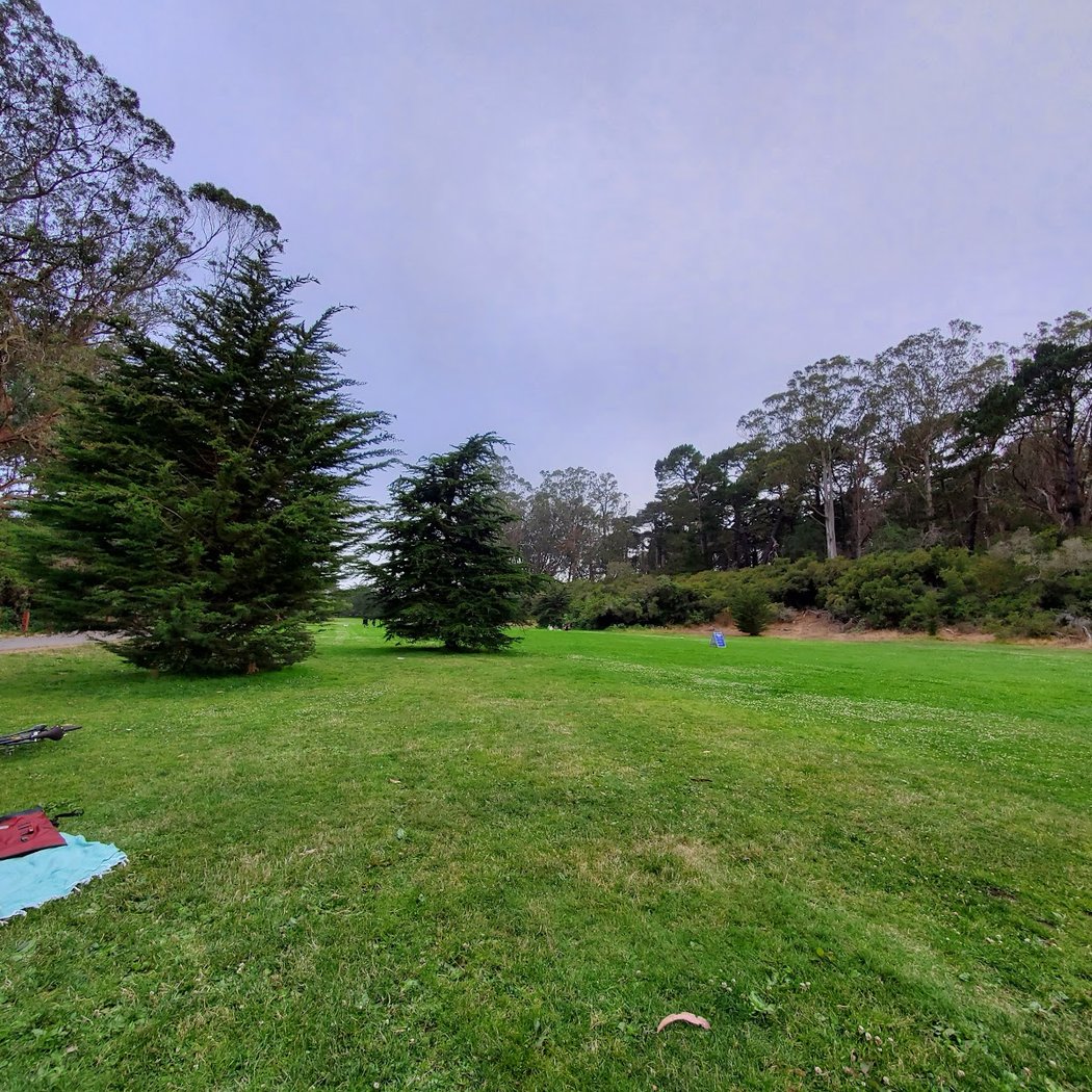 Marx Event Meadow 2