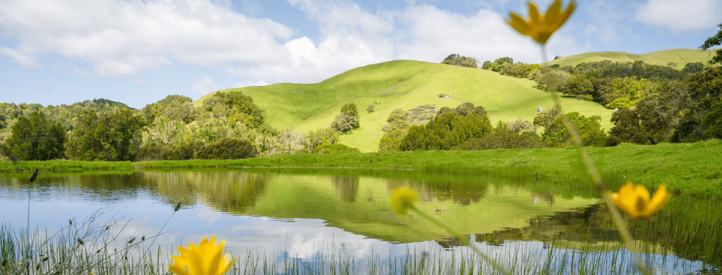Corda Family Ranch Hike 1