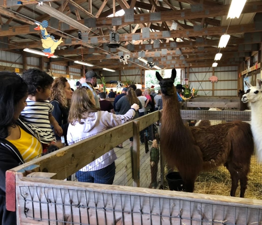 101st Bethlehem Fair 2026 2