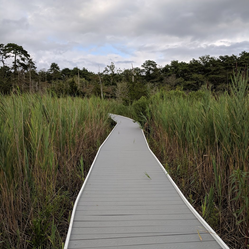 Summer nature writing workshops led by Maryann 3