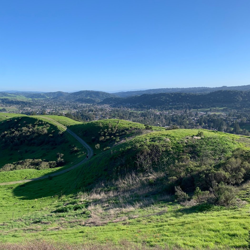 Orinda Oaks Open Space, Donald Drive Entrance 1