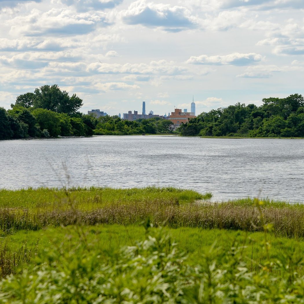 Fresh Creek Nature Preserve 2
