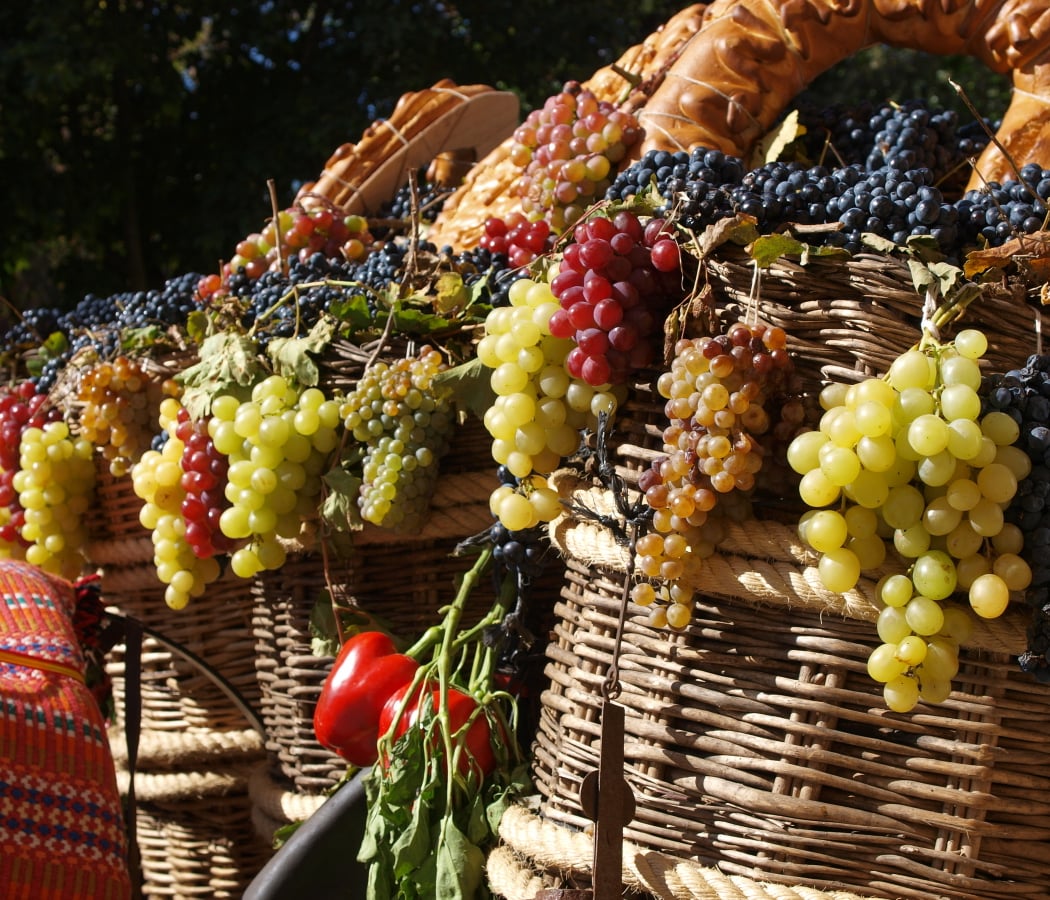 Misumiller, tu tienda de vinos online 3
