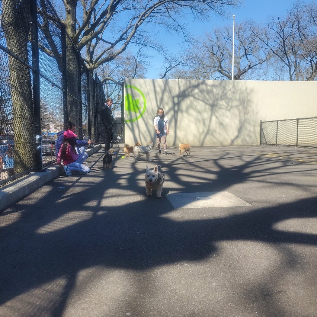 Travers Dog Run 3