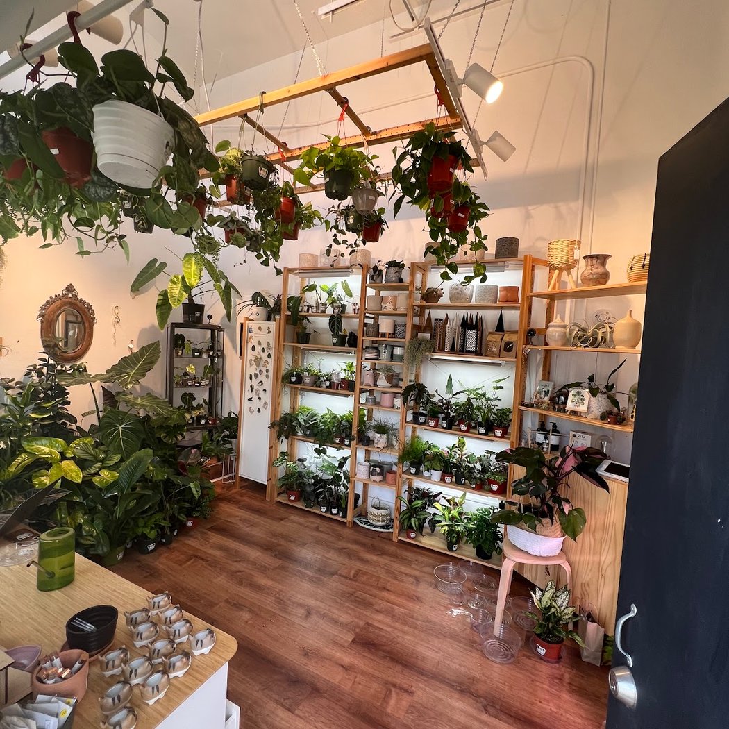 The Plant Lady SF 3