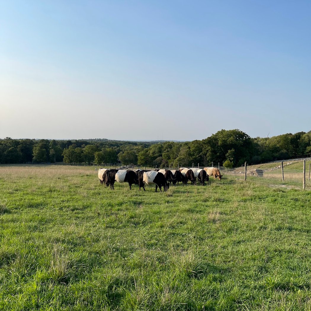 Sensory-Friendly Open Barnyard 3