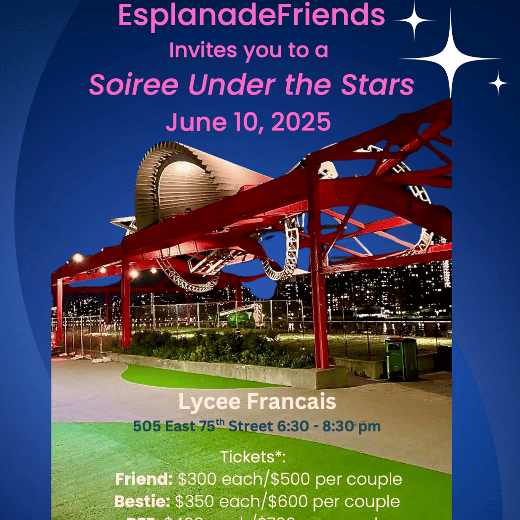 2025 Annual Benefit: Soiree Under the Stars 1