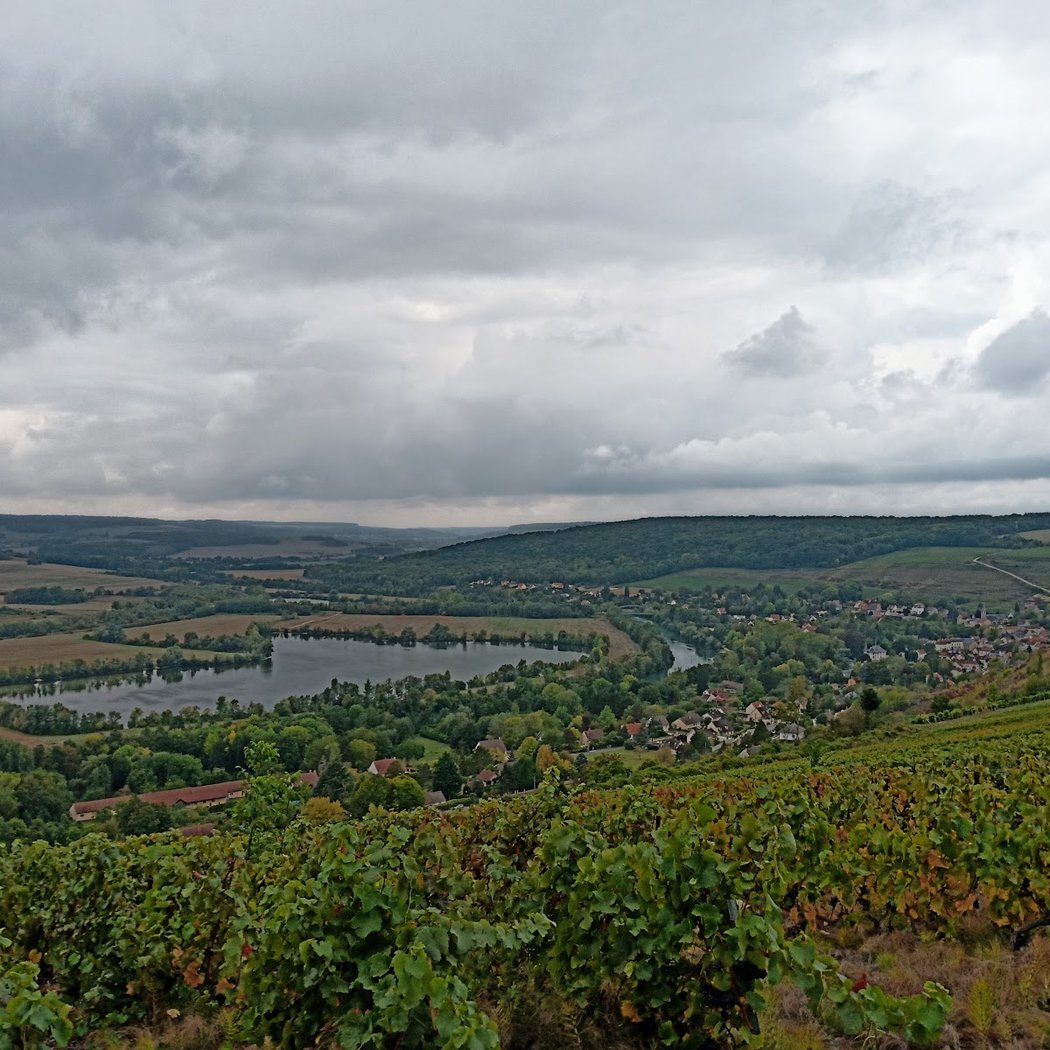 Marne 2