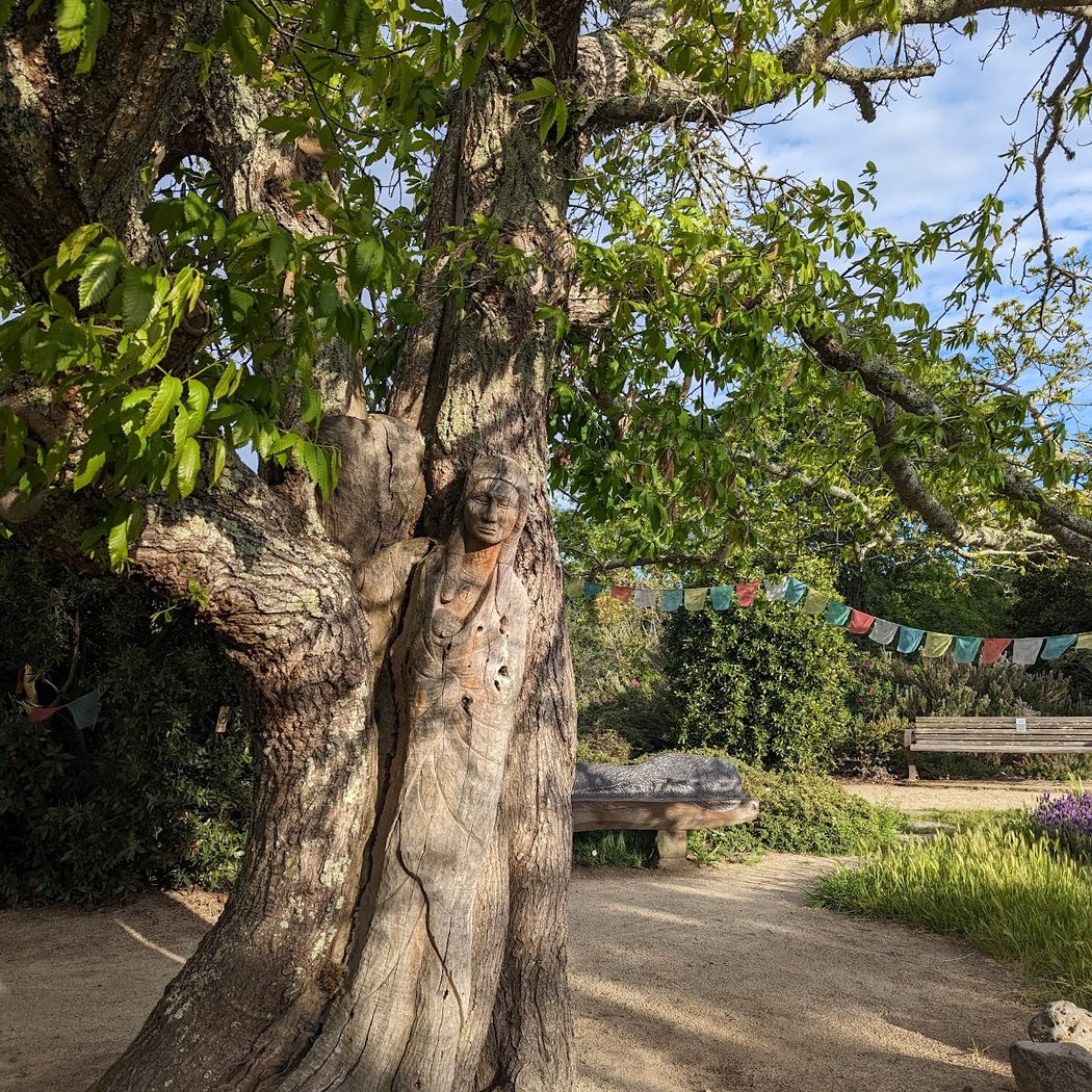 Sebastopol Peace Garden 1