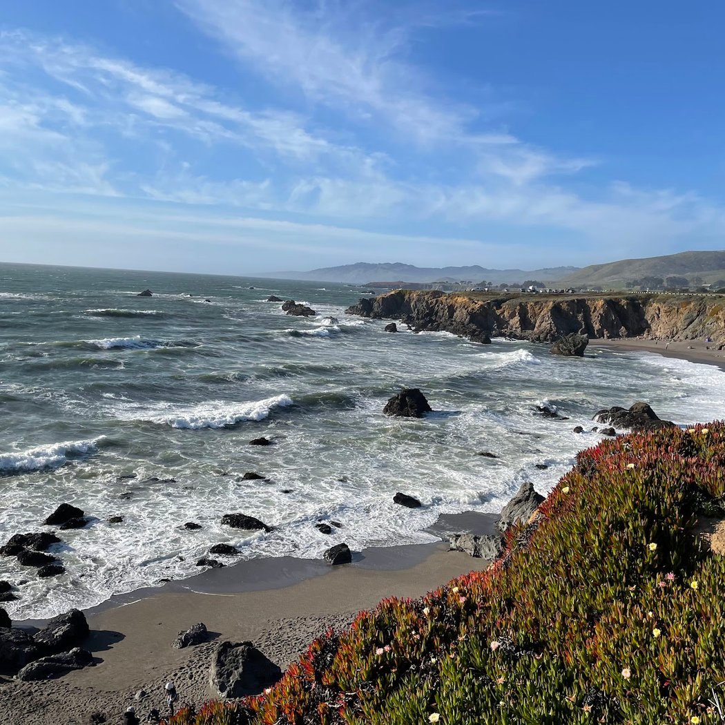 Ice Plant Removal 1