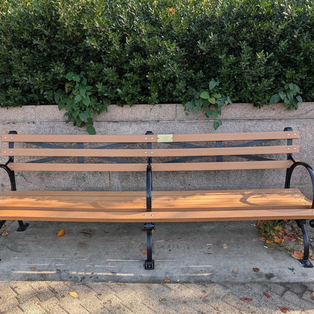 Steve Flack's Bench 2