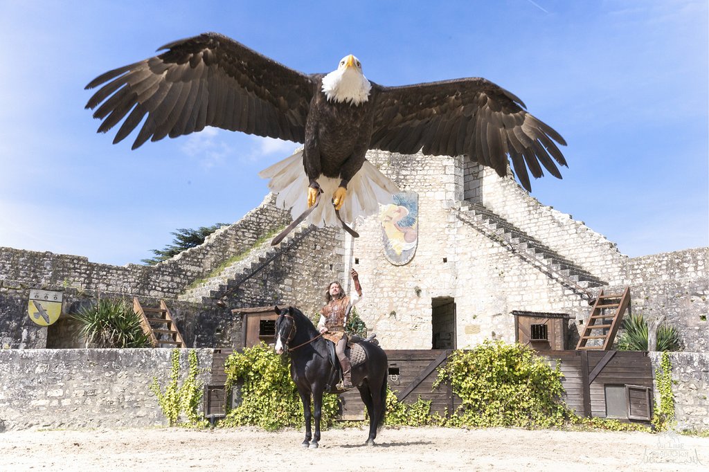 Les Aigles des Remparts 2