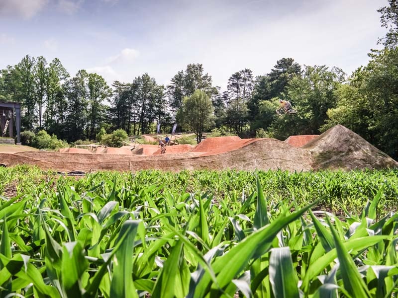 Fiddlehead Farm and Forest 2