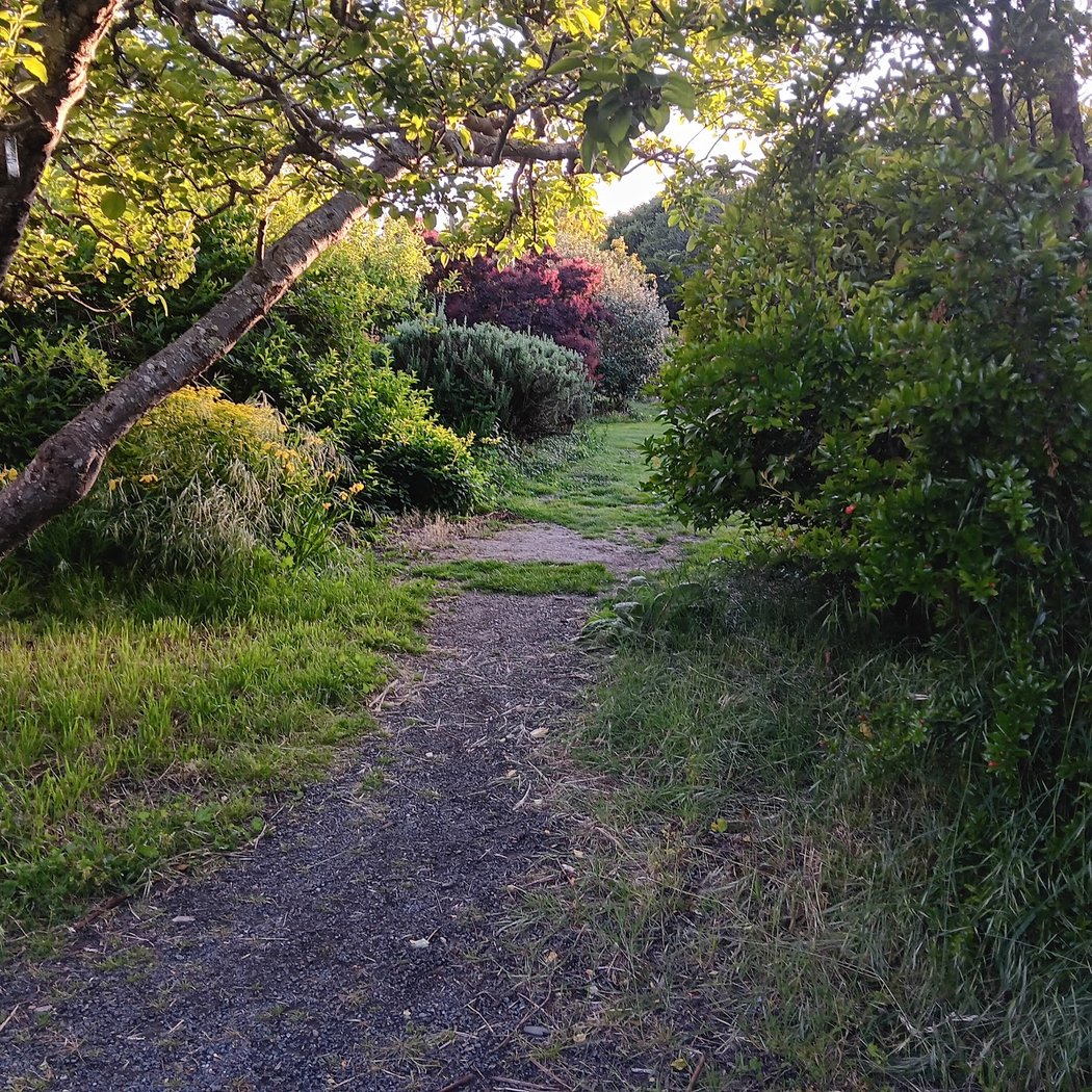 Crow Canyon Gardens 1