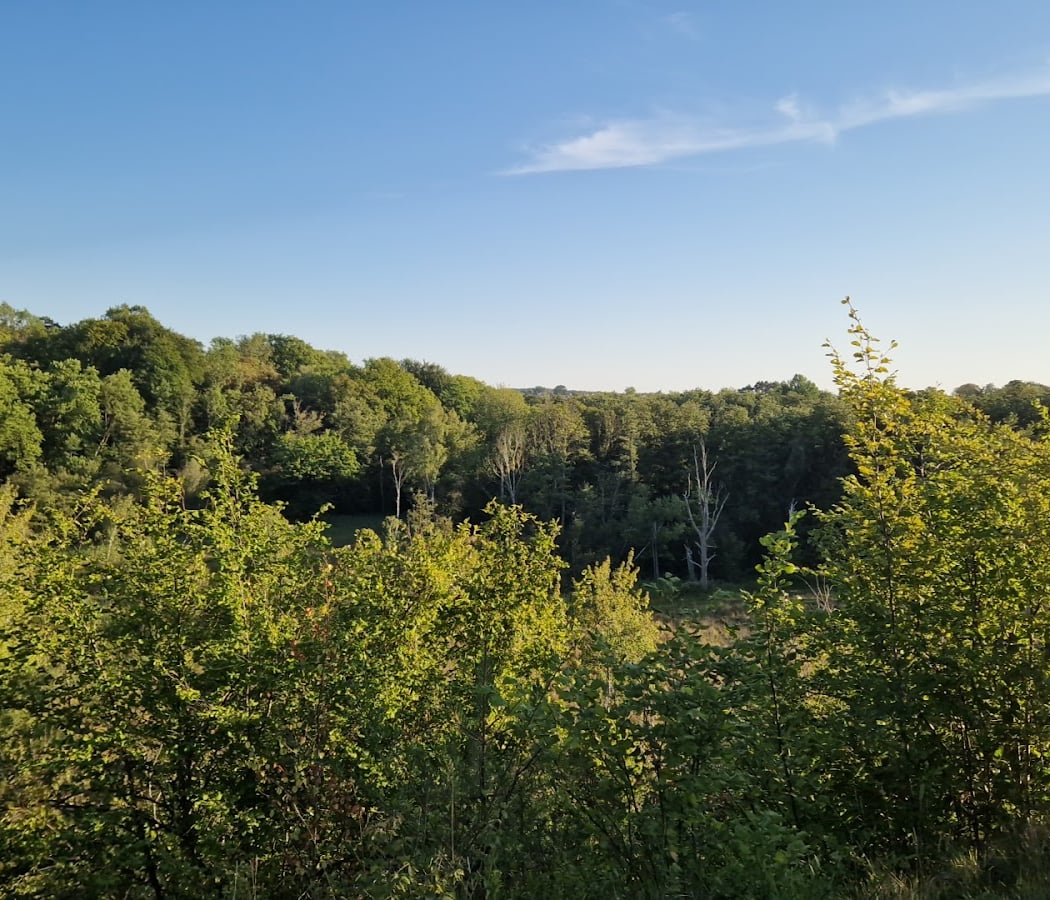 Réserve naturelle régionale du marais de Stors 4
