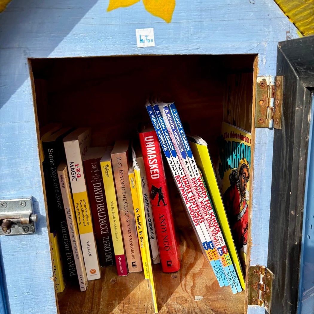 Patricia Wharton Little Library 1
