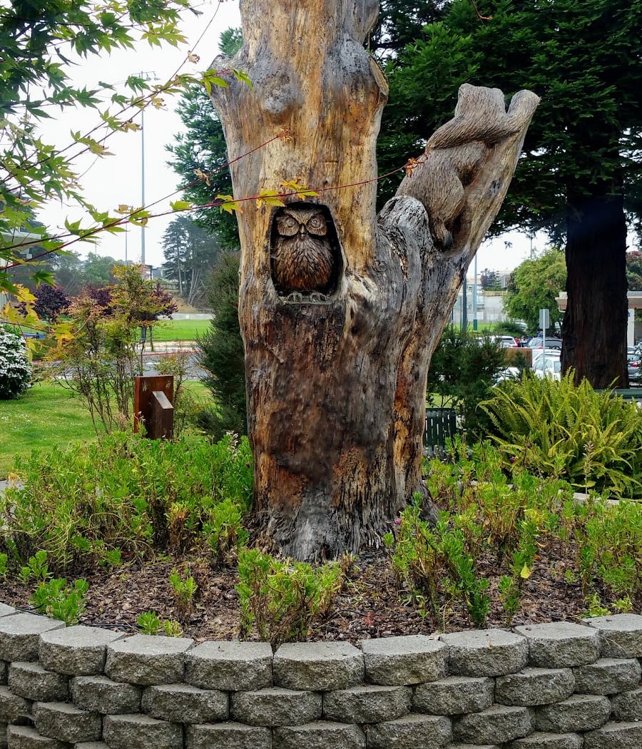 Doelger Senior Center 2