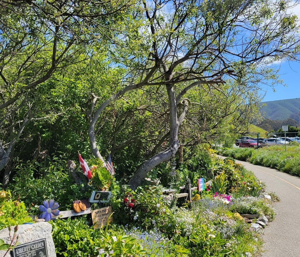 Pacifica Quarry Running Trail 3