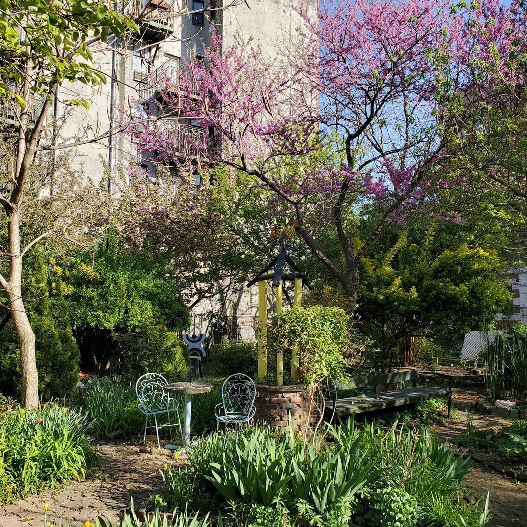 Hands-on Workshop on Flowering Trees 2