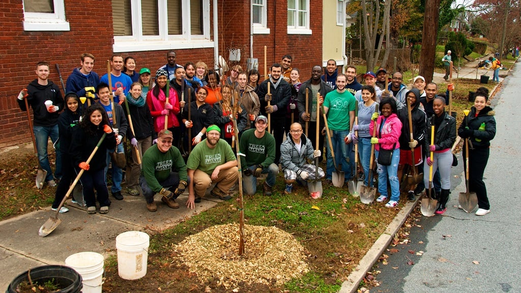 Forest Restoration with Trees Atlanta 3