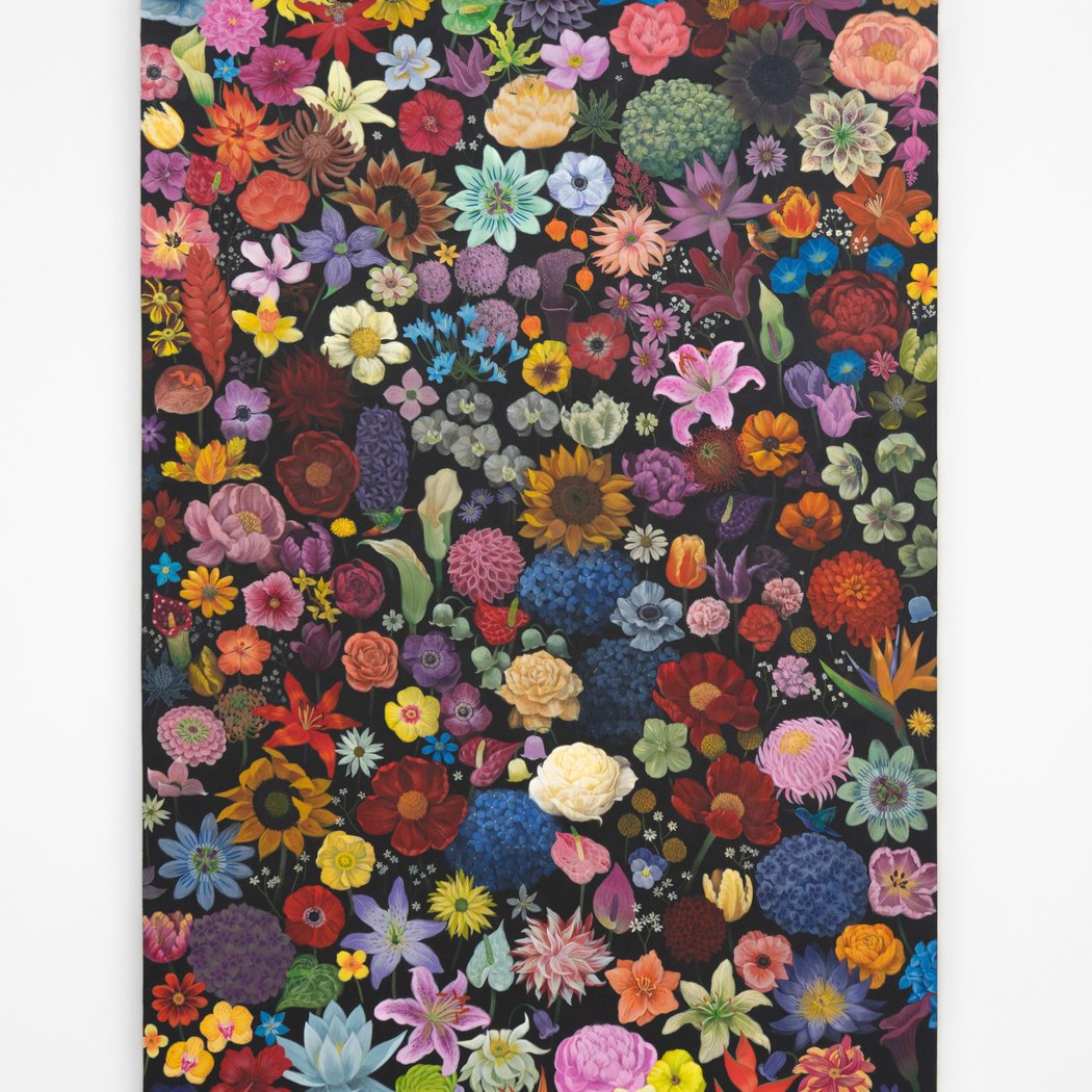 Wallflower 1