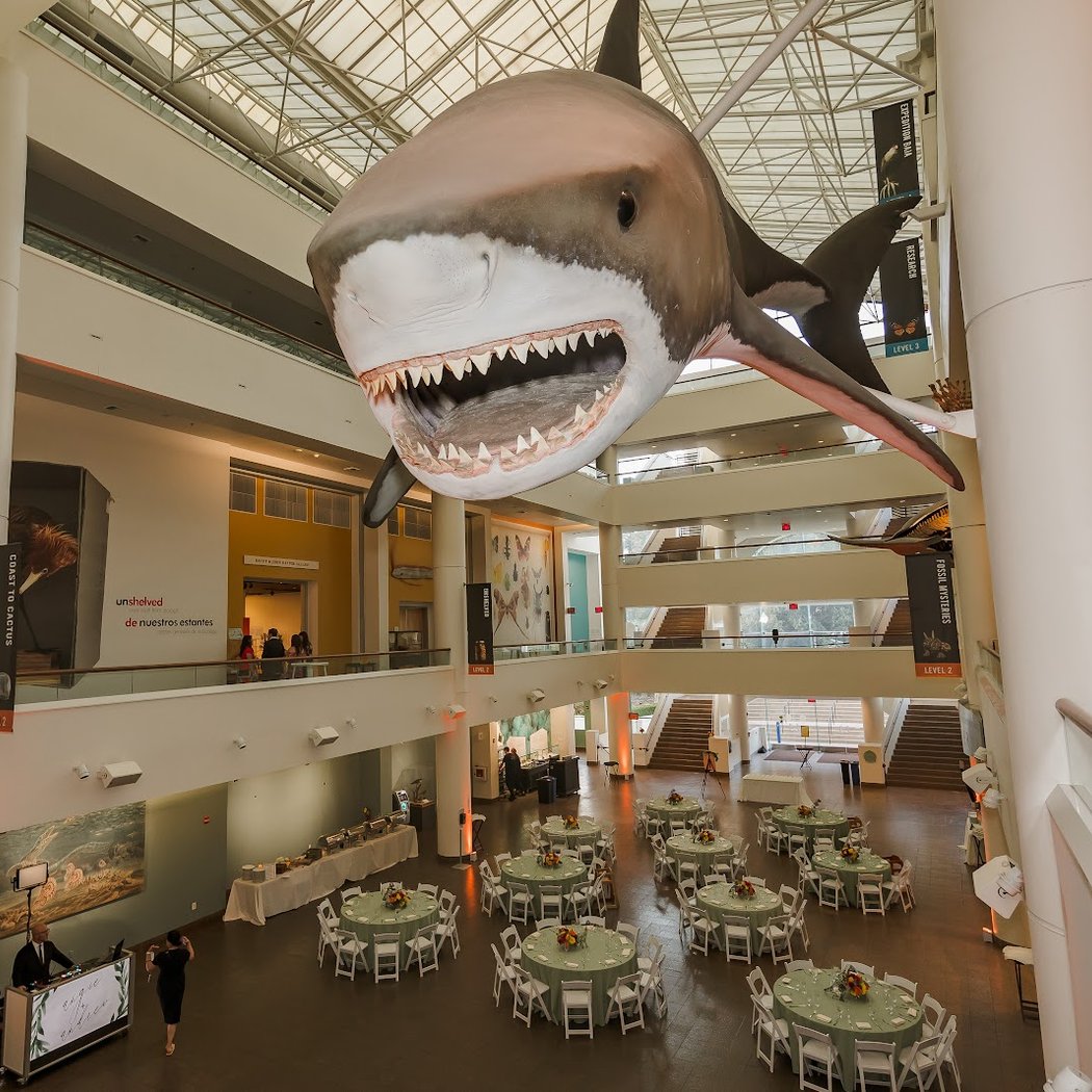 San Diego Natural History Museum 4