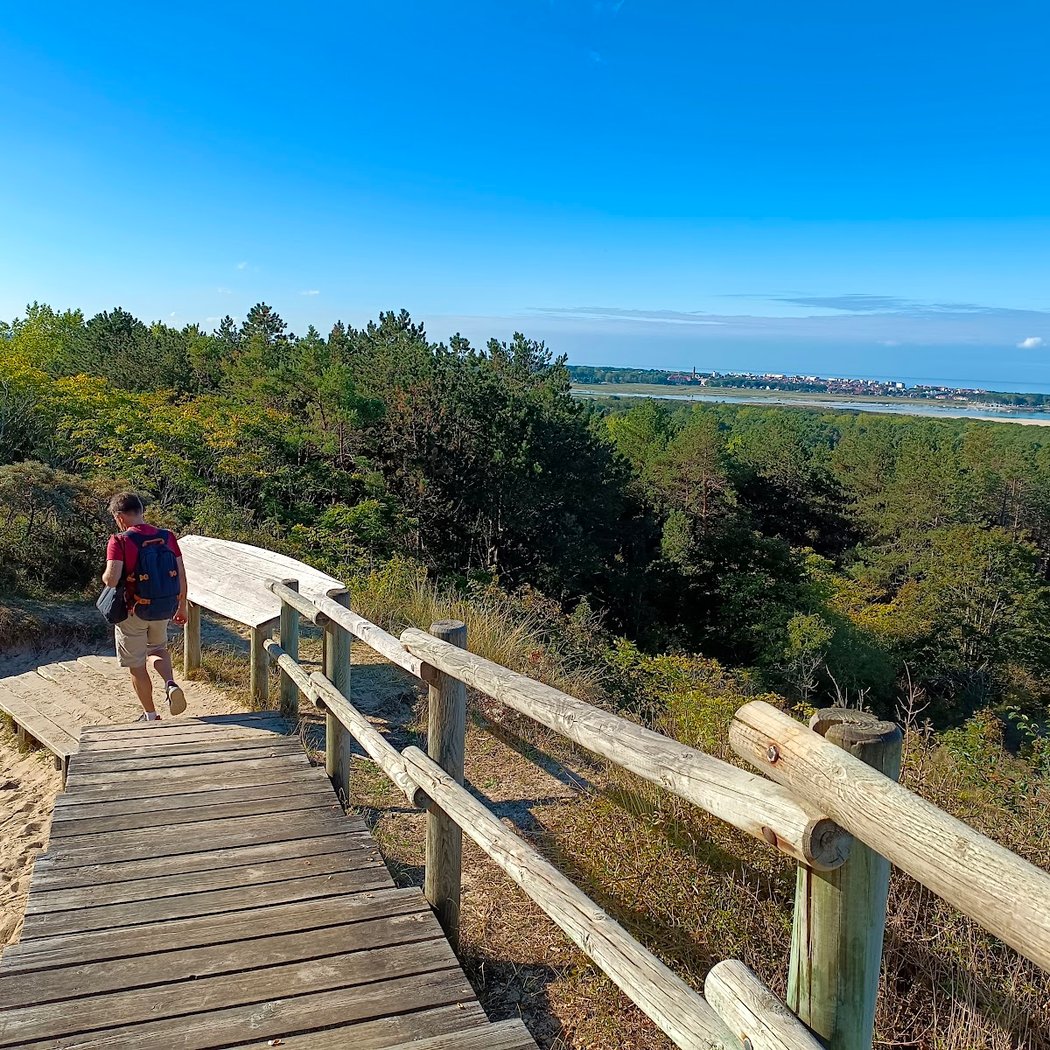 Réserve naturelle nationale de la baie de Canche 1