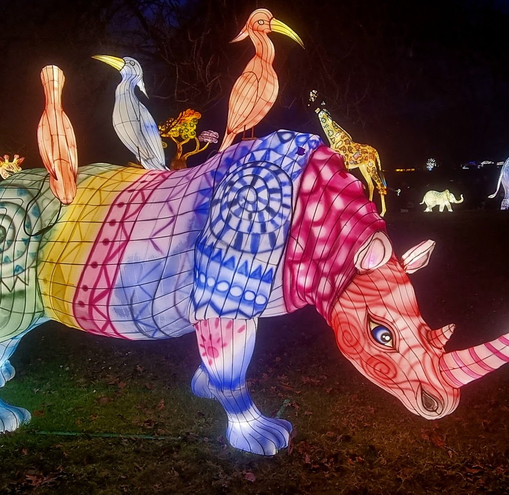 Parc floral - L'Odyssée Lumineuse 2