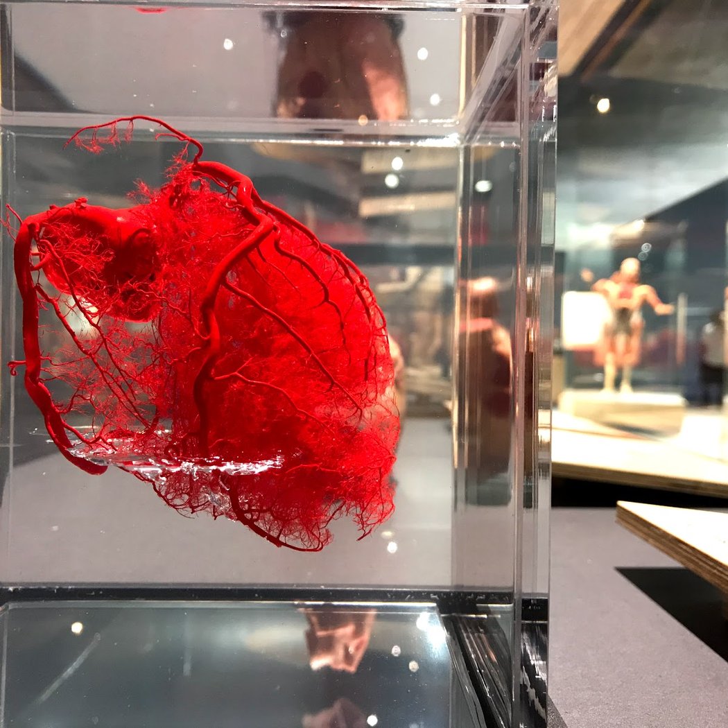 Innovations in Health Care