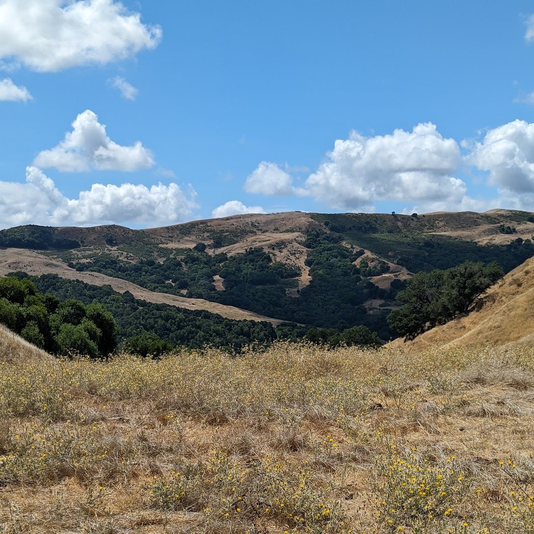 Elworthy Staging Area, Las Trampas Regional Wilderness 2