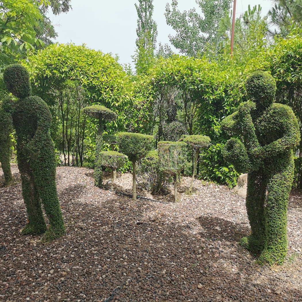 El Bosque Encantado 3