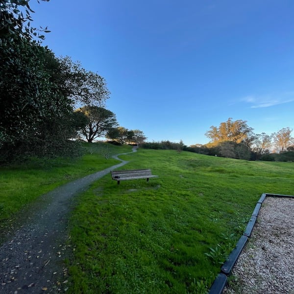 Mannion Knoll Park and Open Space 1
