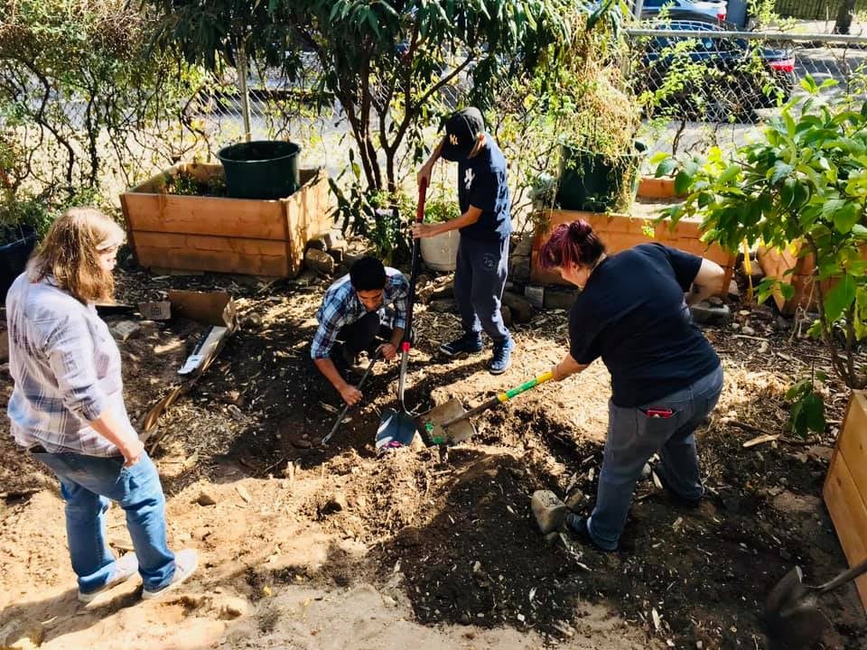 Newkirk Community Garden 3