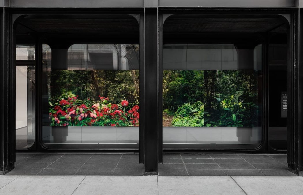 Hyperallergic Fall 2025 New York Art Guide 1