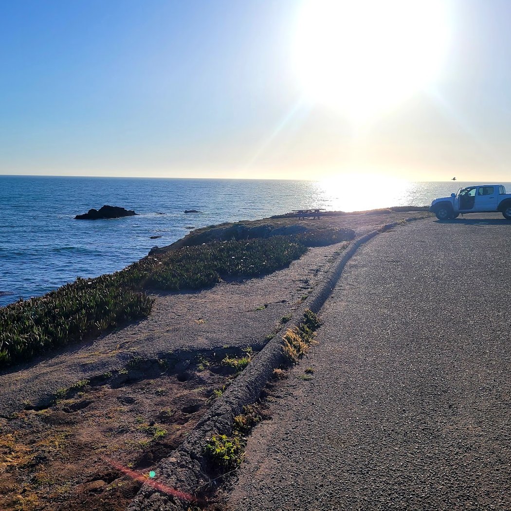 Sonoma Coast Wildflower Walk 3